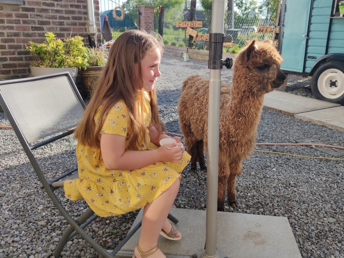 Lana naast een alpaca